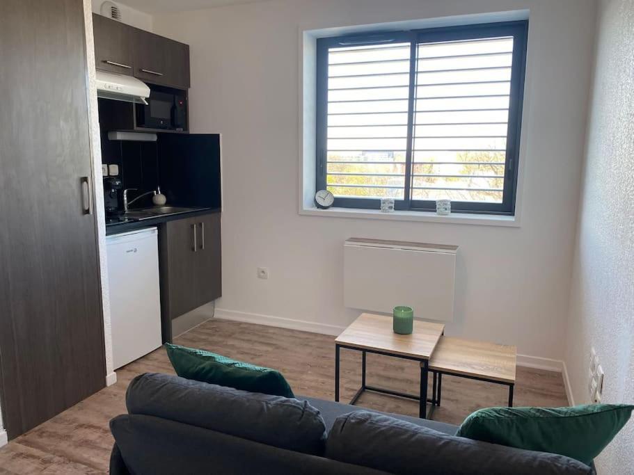 La Suite Griffon - Parking & Balcon Tolosa Esterno foto